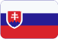 DENIC s.r.o. - v likvidaci Slovensky